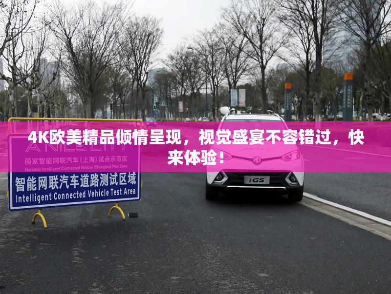 4K欧美精品倾情呈现，视觉盛宴不容错过，快来体验！