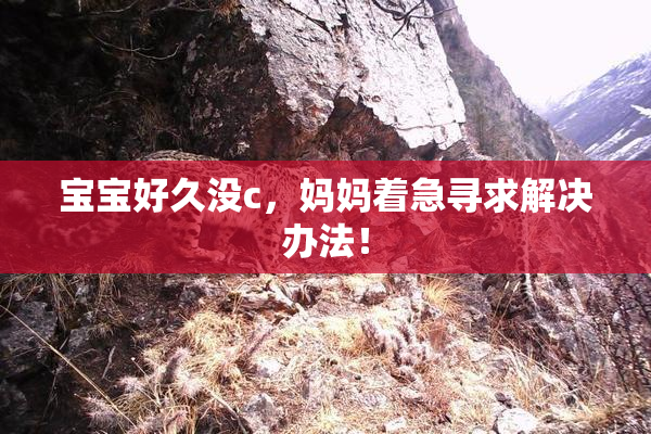 宝宝好久没c，妈妈着急寻求解决办法！