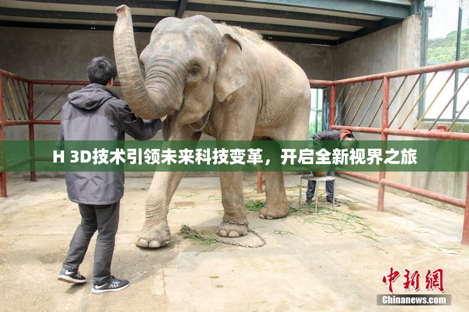 H 3D技术引领未来科技变革，开启全新视界之旅