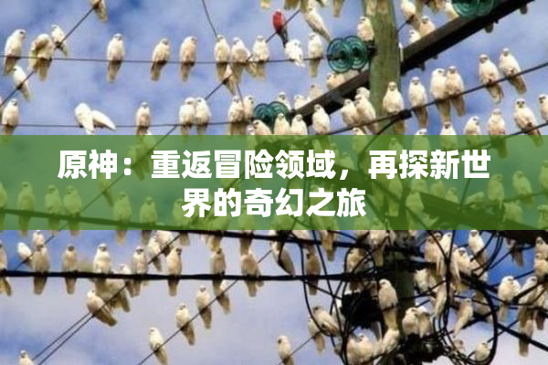 原神：重返冒险领域，再探新世界的奇幻之旅