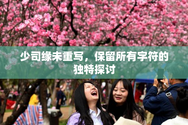 少司缘未重写，保留所有字符的独特探讨