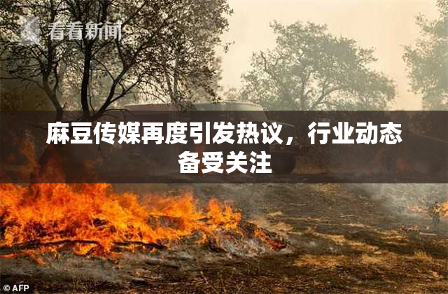 麻豆传媒再度引发热议，行业动态备受关注