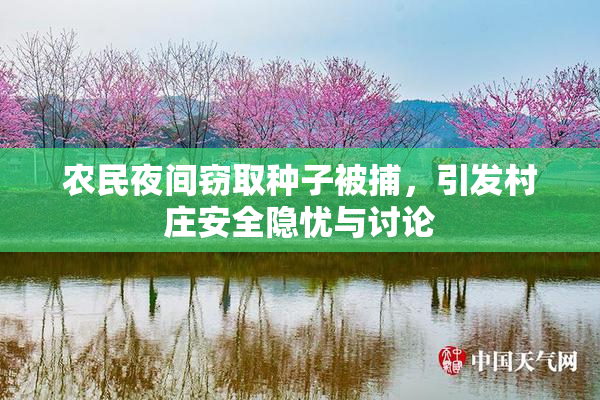 农民夜间窃取种子被捕，引发村庄安全隐忧与讨论