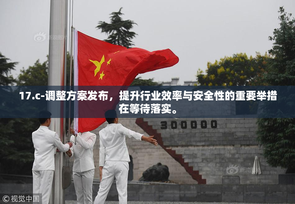 17.c-调整方案发布，提升行业效率与安全性的重要举措在等待落实。