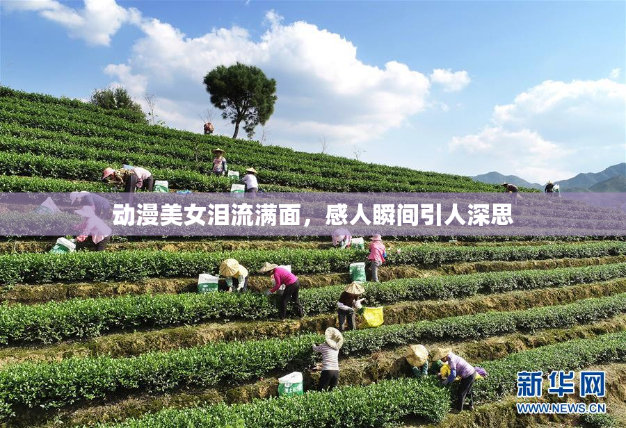 动漫美女泪流满面，感人瞬间引人深思