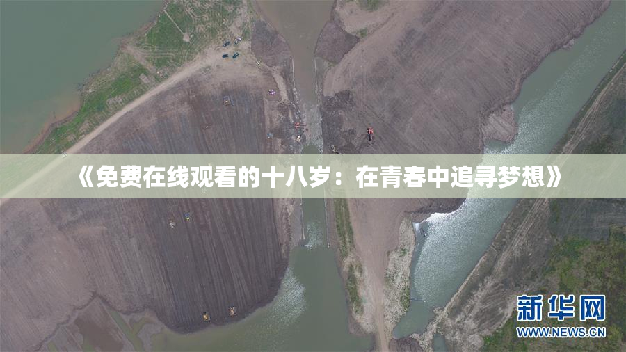 《免费在线观看的十八岁：在青春中追寻梦想》