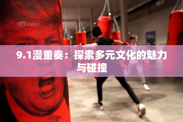 9.1漫重奏：探索多元文化的魅力与碰撞