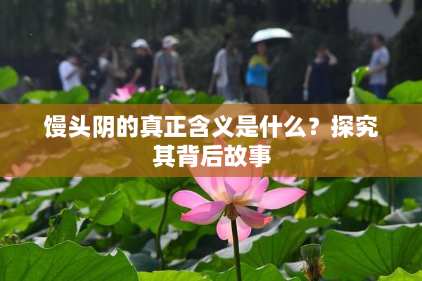 馒头阴的真正含义是什么？探究其背后故事