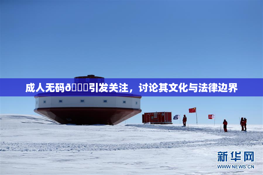 成人无码🔞引发关注，讨论其文化与法律边界