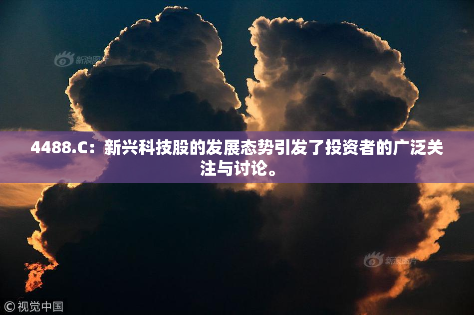 4488.C：新兴科技股的发展态势引发了投资者的广泛关注与讨论。