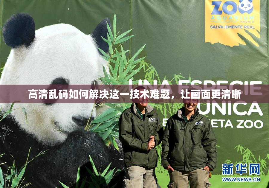 高清乱码如何解决这一技术难题，让画面更清晰