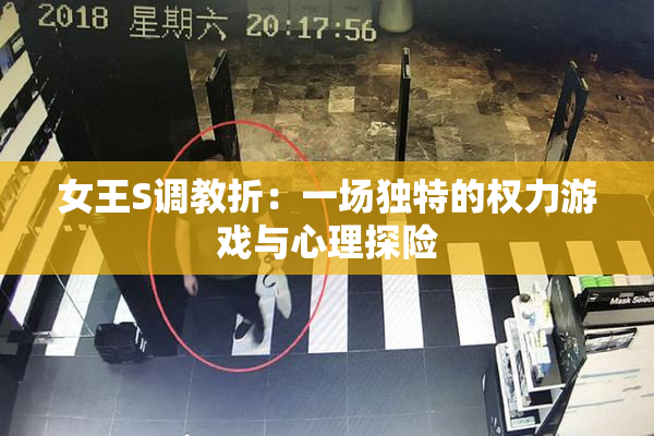 女王S调教折：一场独特的权力游戏与心理探险