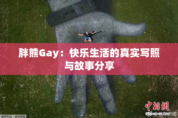 胖熊Gay：快乐生活的真实写照与故事分享