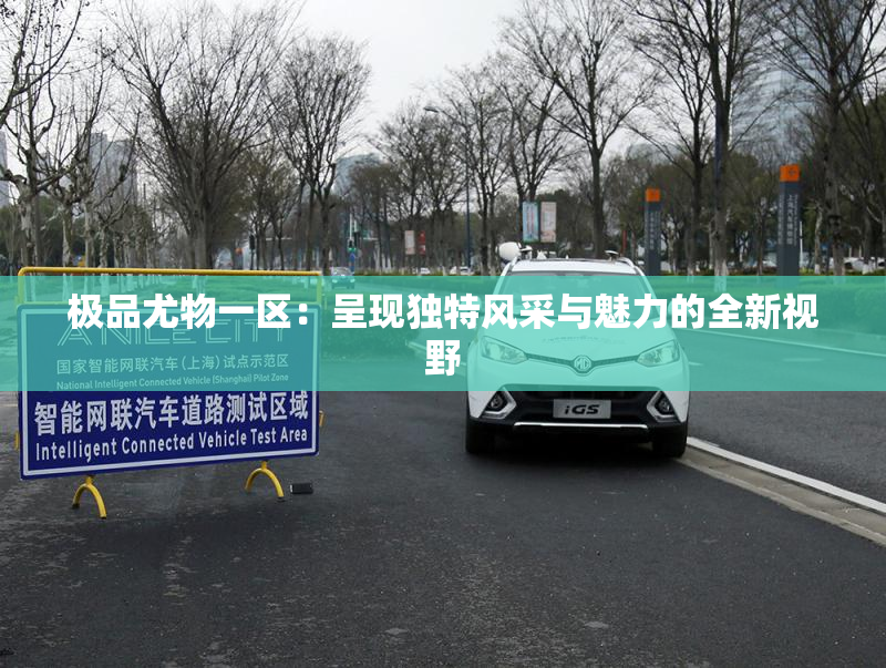 极品尤物一区：呈现独特风采与魅力的全新视野