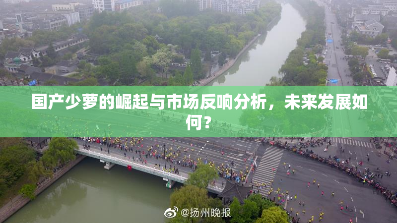 国产少萝的崛起与市场反响分析，未来发展如何？
