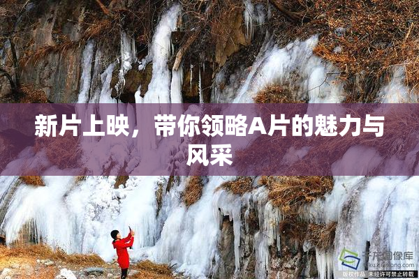 新片上映，带你领略A片的魅力与风采