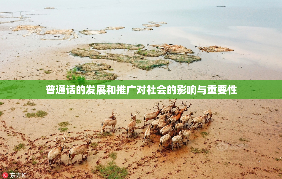 普通话的发展和推广对社会的影响与重要性