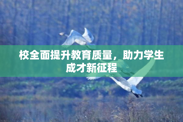 校全面提升教育质量，助力学生成才新征程