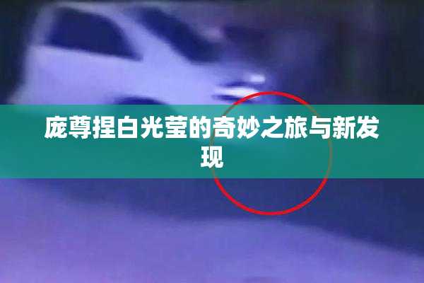 庞尊捏白光莹的奇妙之旅与新发现