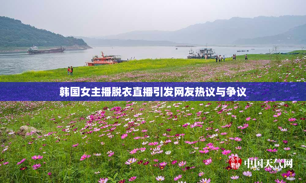 韩国女主播脱衣直播引发网友热议与争议