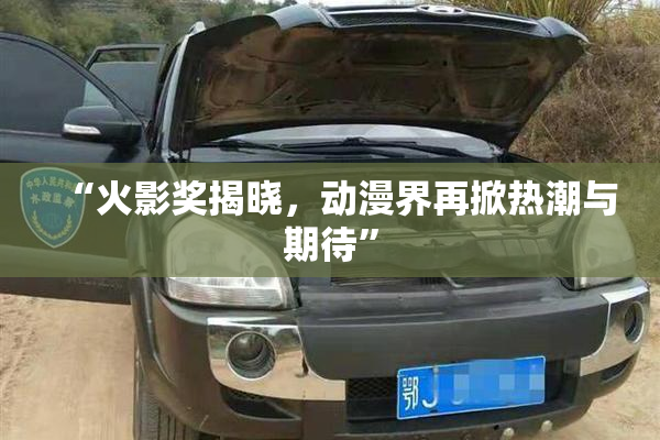“火影奖揭晓，动漫界再掀热潮与期待”