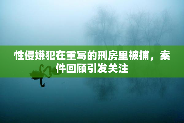 性侵嫌犯在重写的刑房里被捕，案件回顾引发关注