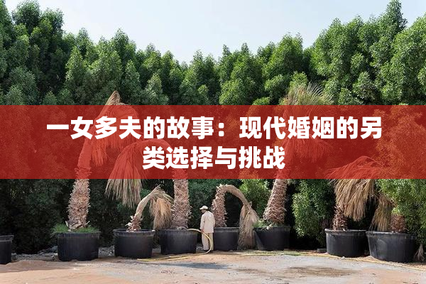 一女多夫的故事：现代婚姻的另类选择与挑战