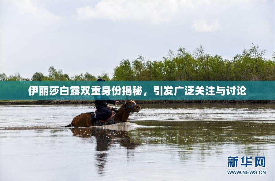 伊丽莎白露双重身份揭秘，引发广泛关注与讨论