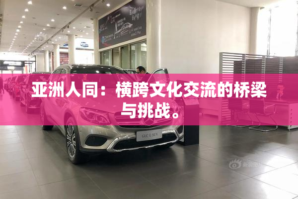 亚洲人同：横跨文化交流的桥梁与挑战。