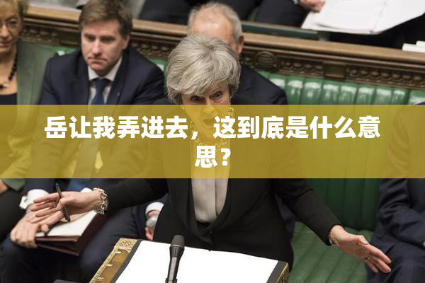 岳让我弄进去，这到底是什么意思？