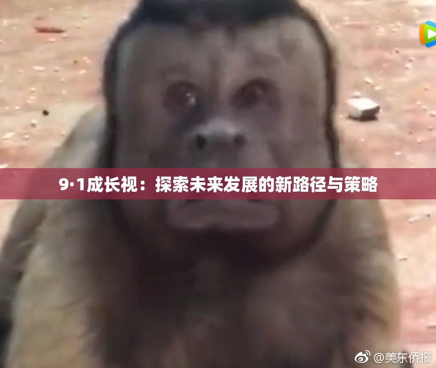 9·1成长视：探索未来发展的新路径与策略