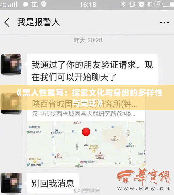 《黑人性重写：探索文化与身份的多样性与变迁》