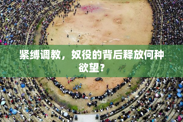 紧缚调教，奴役的背后释放何种欲望？
