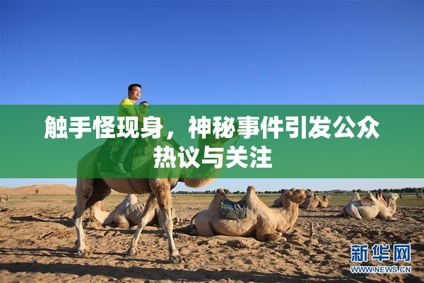 触手怪现身，神秘事件引发公众热议与关注