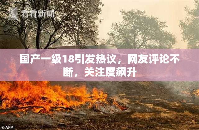 国产一级18引发热议，网友评论不断，关注度飙升