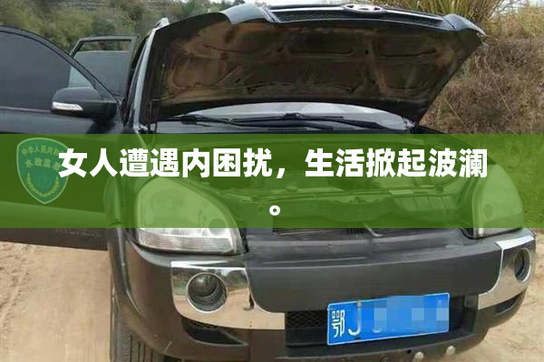 女人遭遇内困扰，生活掀起波澜。