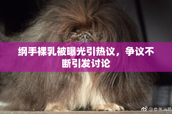 纲手裸乳被曝光引热议，争议不断引发讨论