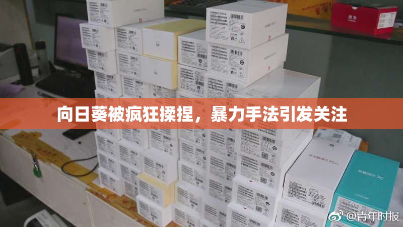 向日葵被疯狂揉捏，暴力手法引发关注