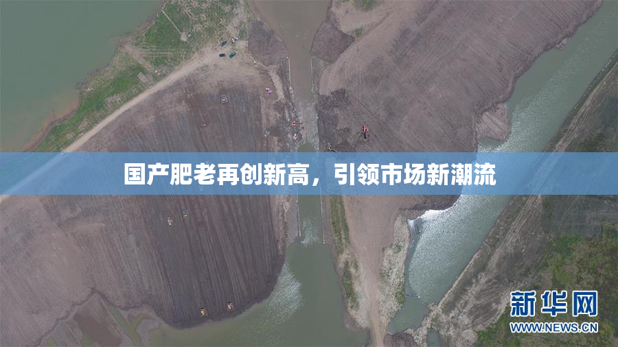 国产肥老再创新高，引领市场新潮流