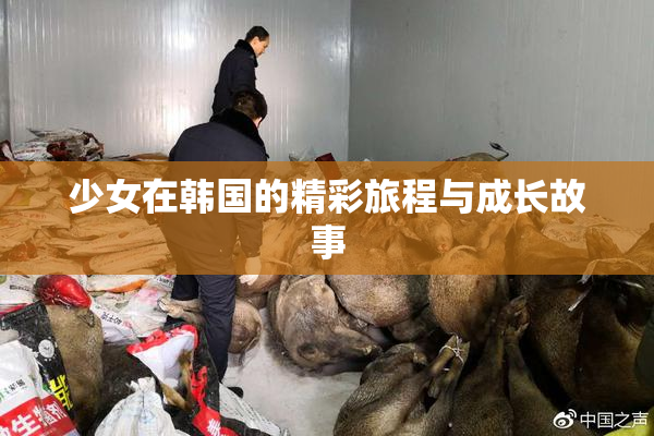少女在韩国的精彩旅程与成长故事