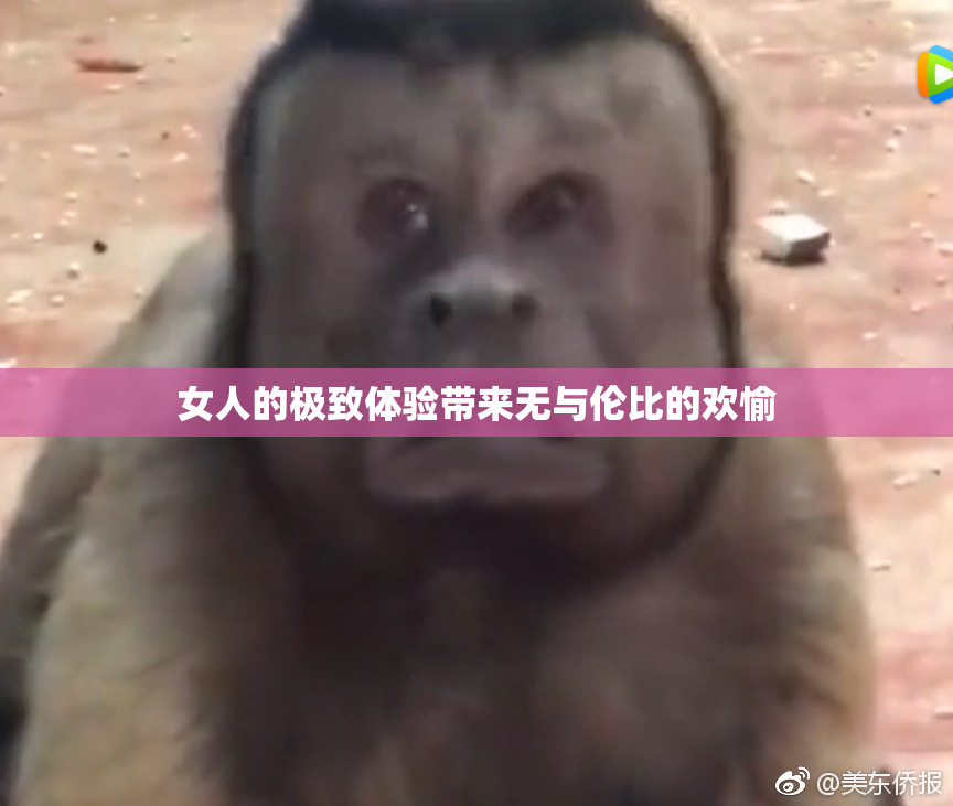 女人的极致体验带来无与伦比的欢愉