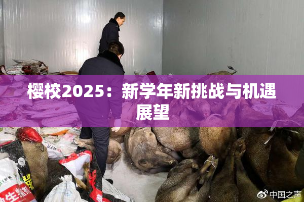 樱校2025：新学年新挑战与机遇展望