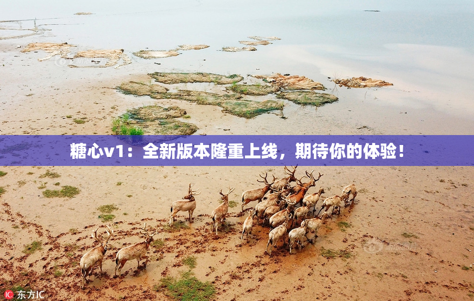 糖心v1：全新版本隆重上线，期待你的体验！