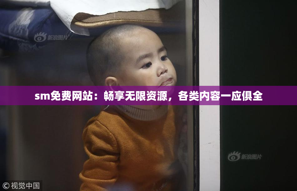 sm免费网站：畅享无限资源，各类内容一应俱全