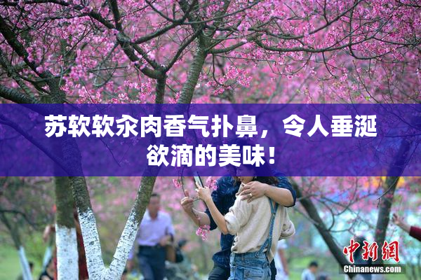 苏软软汆肉香气扑鼻，令人垂涎欲滴的美味！