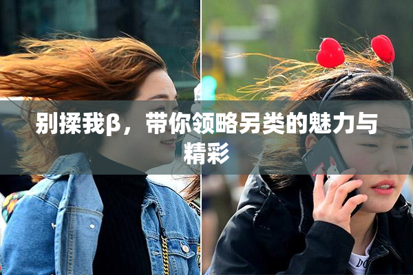 别揉我β，带你领略另类的魅力与精彩
