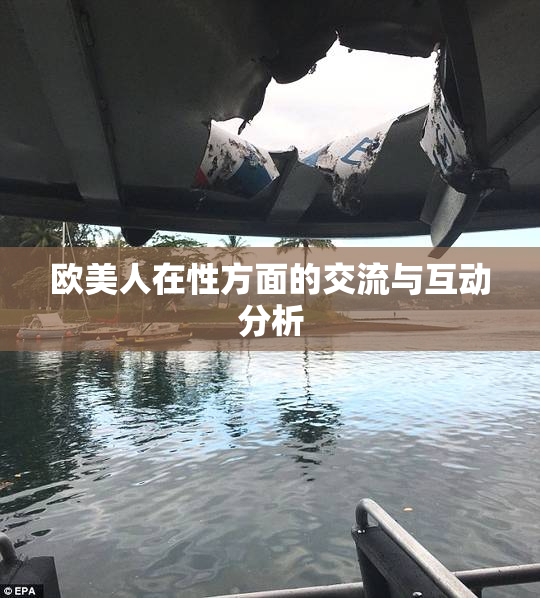 欧美人在性方面的交流与互动分析