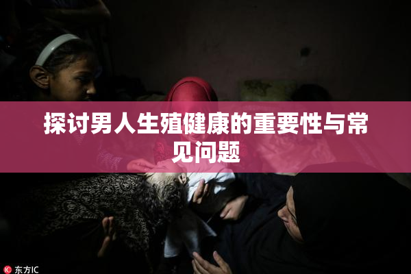 探讨男人生殖健康的重要性与常见问题