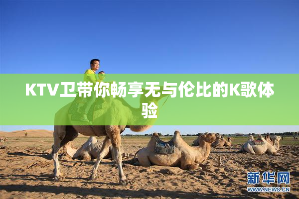 KTV卫带你畅享无与伦比的K歌体验