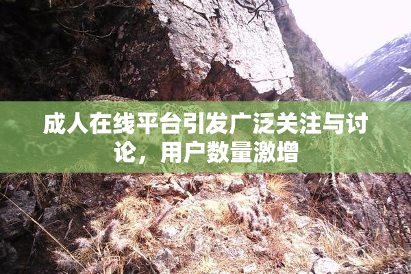成人在线平台引发广泛关注与讨论，用户数量激增